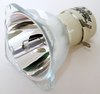 INFOCUS SP-LAMP-061 - orig. Philips UHP Beamerlampe